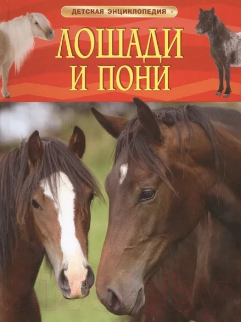 Энциклопедия Росмэн Лошади и пони