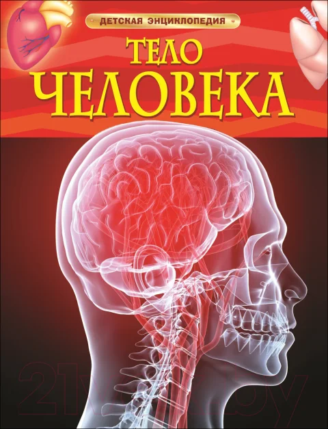 Энциклопедия Росмэн Тело человека. Детская энциклопедия