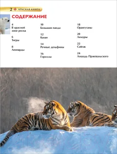 Энциклопедия Росмэн Детская. Красная книга — фото 2