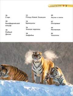 Энциклопедия Росмэн Детская. Красная книга — фото 3