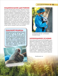 Энциклопедия Росмэн Детская. Красная книга — фото 5