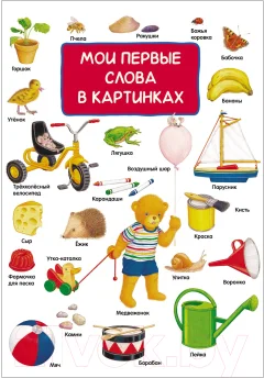 Развивающая книга Росмэн Мои первые слова в картинках (Шпаннер Х.) — фото 1
