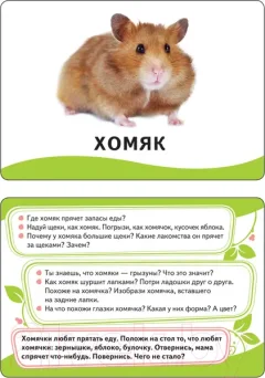 Развивающие карточки Росмэн На ферме — фото 8