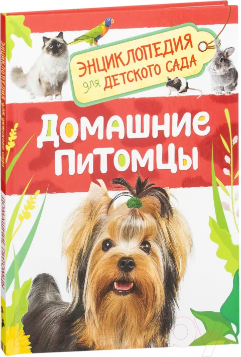Энциклопедия Росмэн Домашние питомцы (Травина И.)