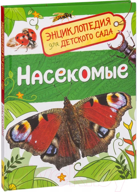 Энциклопедия Росмэн Насекомые (Клюшник Л.)