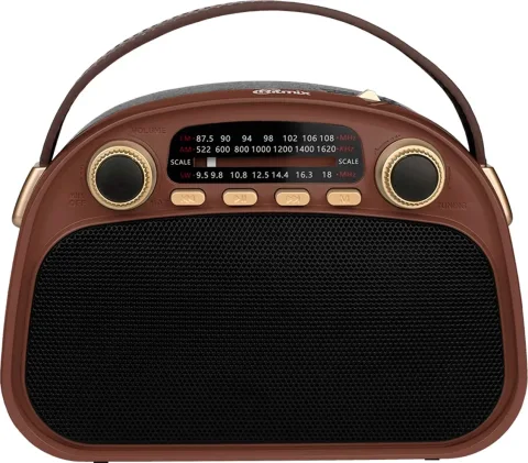 Радиоприемник Ritmix RPR-040 (шоколадный)