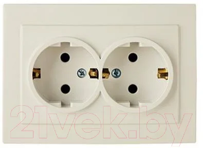 Розетка Элект RS16-238-БЖ