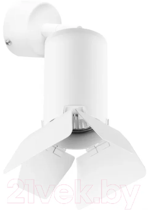 Спот Lightstar Rullo RB436436