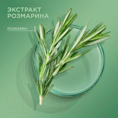 Шампунь для волос Шаума Роскошный объем с экстрактом розмарина для тонких волос (370мл) — фото 4