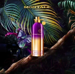 Парфюмерная вода Montale Sensual Intstinct (100мл) — фото 2