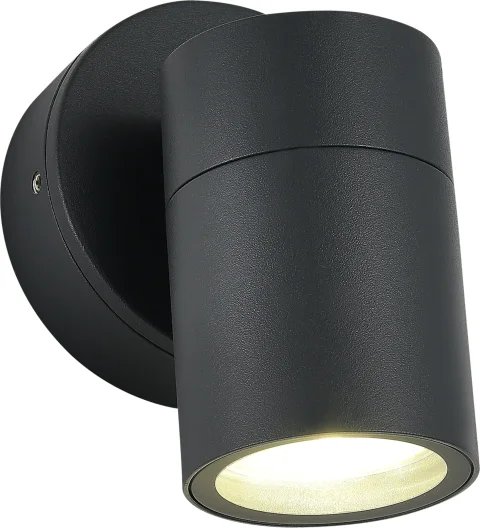 Бра уличное ST Luce SL9008.701.01