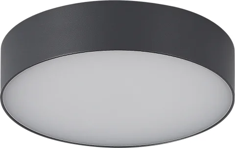 Светильник уличный ST Luce SL9518.702.01