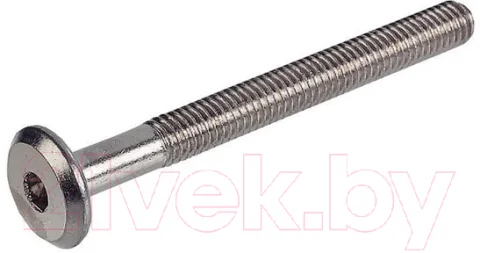 Болт Starfix SMZ2-77300-10