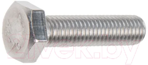 Болт Starfix SMZ3-106865-2