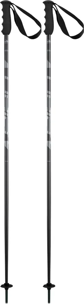 Горнолыжные палки Elan Speedrod 2025-2026 / CD532023-115 (р.115, черный)