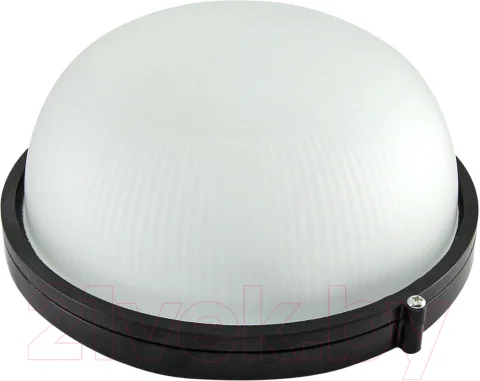 Светильник ЖКХ TDM SQ0303-0025