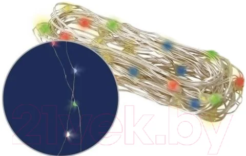 Светодиодная гирлянда TDM SQ0361-0060