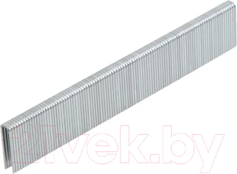 Скобы Startul ST4520-19