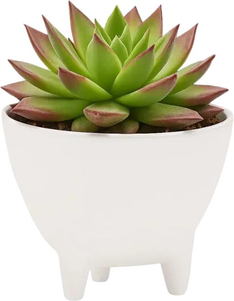 Кашпо BOTANICA Step (14.5x10.5см, белый)