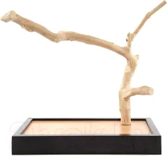 Игровая площадка для птиц Coffee Wood Кофейное дерево / TABLETOP/CW-S — фото 1