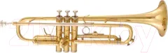 Труба Maxtone TTC-60/L-2 — фото 1