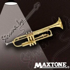 Труба Maxtone TTC-60/L-2 — фото 2