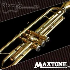 Труба Maxtone TTC-60/L-2 — фото 3