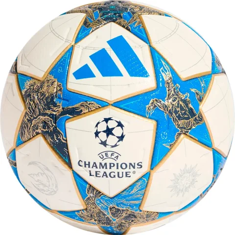 Футбольный мяч Adidas UCL PRO JD0188 (р.5)