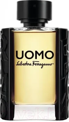 Туалетная вода Salvatore Ferragamo Uomo (100мл) — фото 3