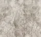 Фотообои листовые Vimala Деревья на штукатурке (270x300) — фото 6