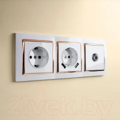 Рамка для выключателей и розеток Werkel W0031933 / a051644 (белый/золото) — фото 6
