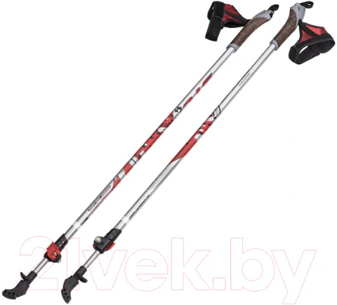 Палки для скандинавской ходьбы STC Walker (100-135см, красный)