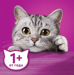 Влажный корм для кошек Whiskas Желе с лососем (75г) — фото 7