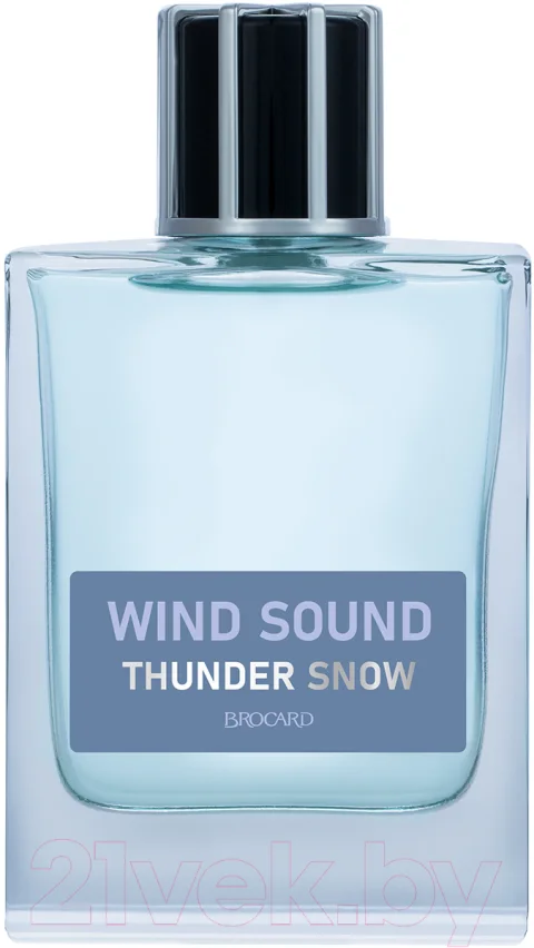 Туалетная вода Brocard Wind Sound Thunder Snow (100мл)