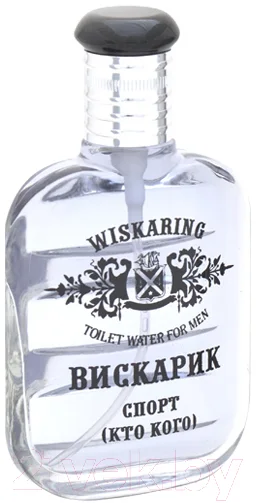 Туалетная вода Positive Parfum Wiskaring Вискарик Спорт Кто Кого (65мл)