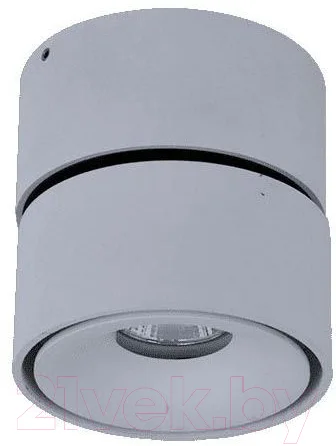 Потолочный светильник DesignLed WL / 003979