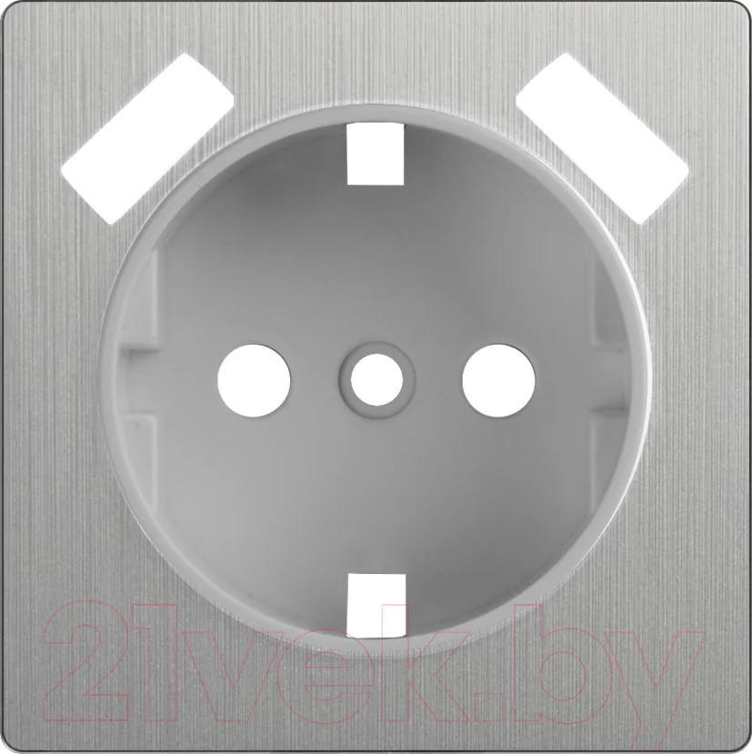 Лицевая панель Werkel WL09-USB-CP / a037011 (cеребряный рифленый)