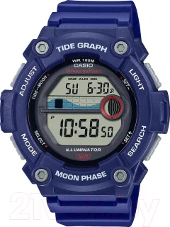 Часы наручные мужские Casio WS-1300H-2A — фото 1