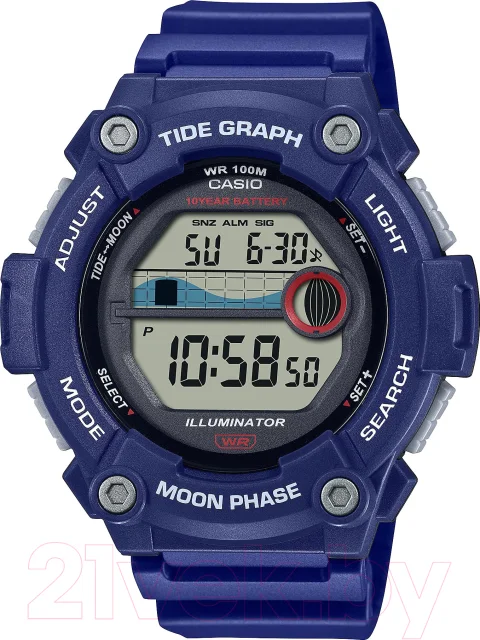 Часы наручные мужские Casio WS-1300H-2A