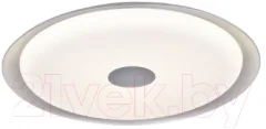 Потолочный светильник Mirastyle Диод XL-9006/560-80 — фото 1
