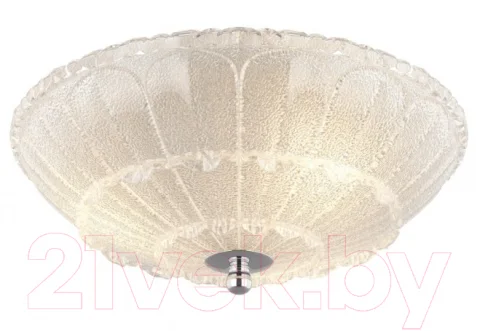 Потолочный светильник Lightstar Zucche 820234